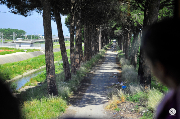 Old Appian Way Road, goes from Rome to the Puglia Region on the Ionian Sea